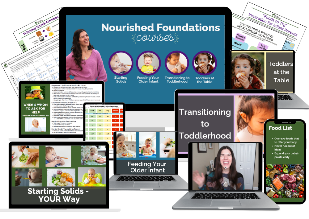 Nourished Foundations courses and resources overview